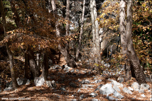 Водопад Кантара (Фини, Кипр) осенью