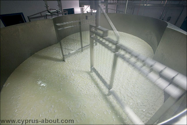 Процесс производства халуми. Автоматическое перемешивание свернувшегося молока. Фабрика Месарка, афиену, Кипр